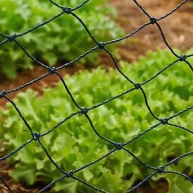 Agriculture Nets